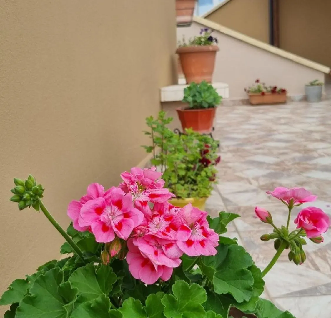Luis Penthouse Apartment Berat